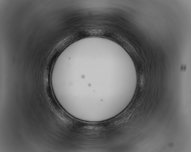 X0000099990733200806201449