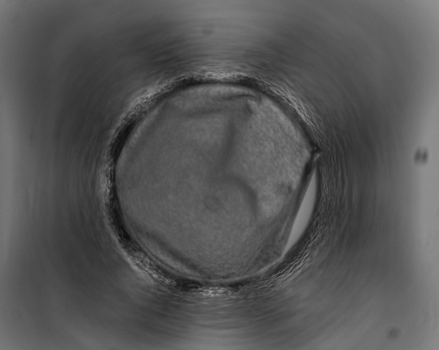 X0000099990736200806201449