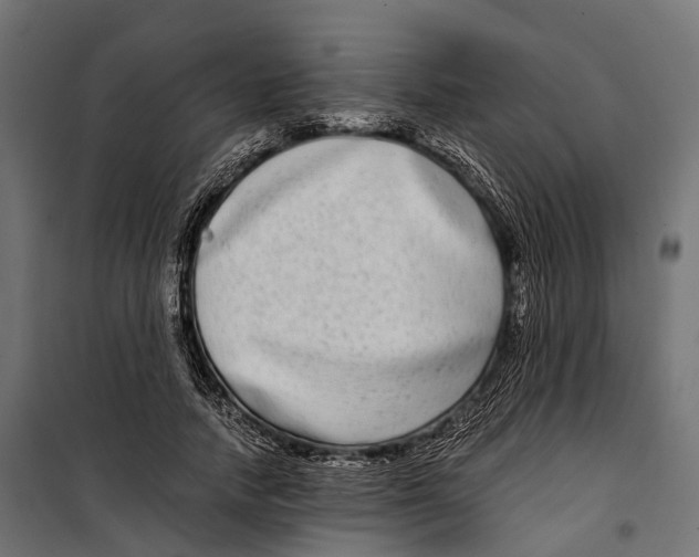 X0000099990738200806201449