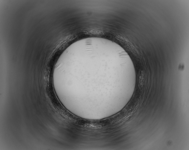 X0000099990739200806201449