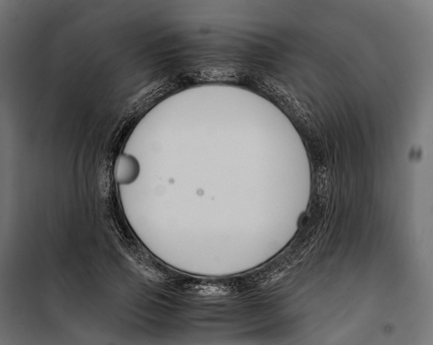 X0000099990741200806201449