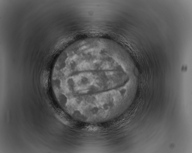 X0000099990742200806201449