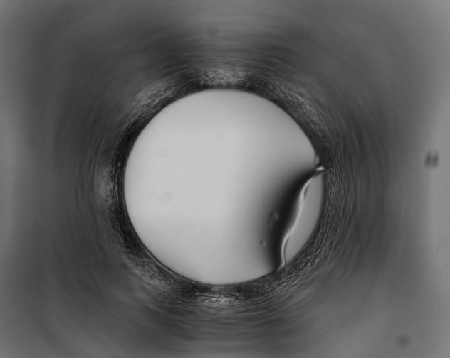 X0000099990743200806201449