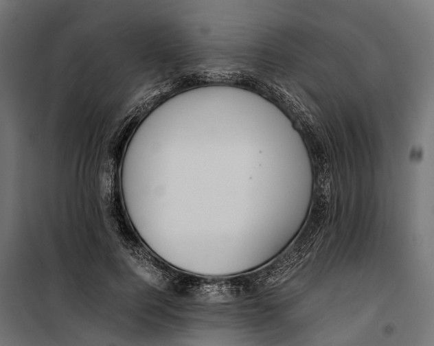 X0000099990744200806201449