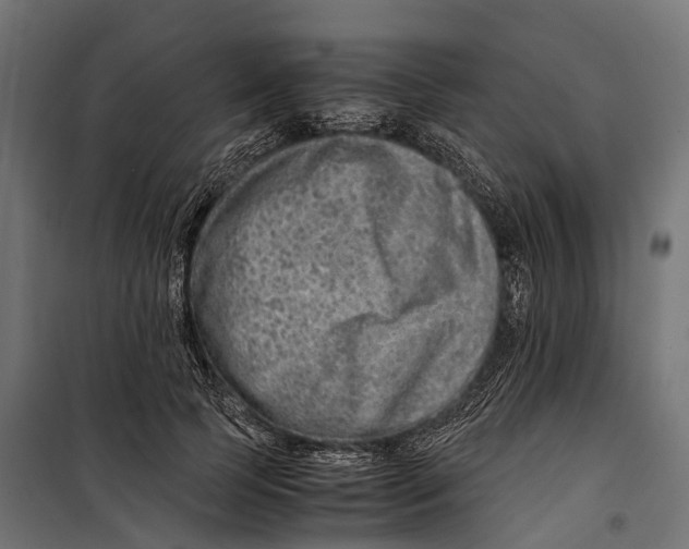 X0000099990745200806201449