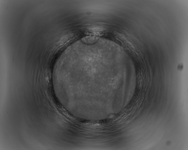 X0000099990747200806201449