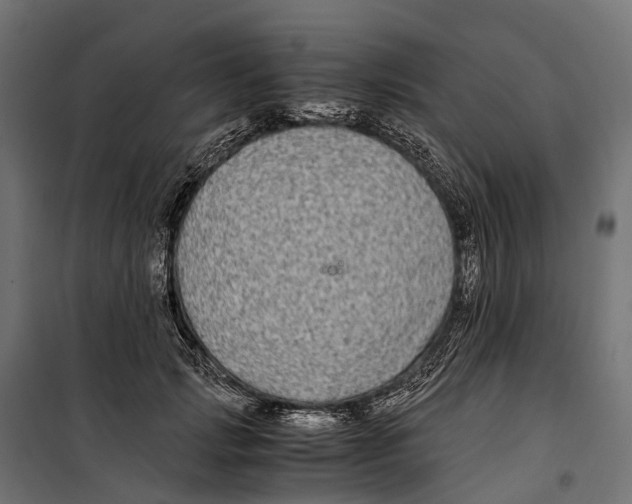 X0000099990749200806201449