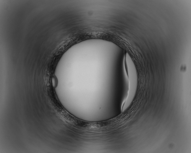 X0000099990750200806201449