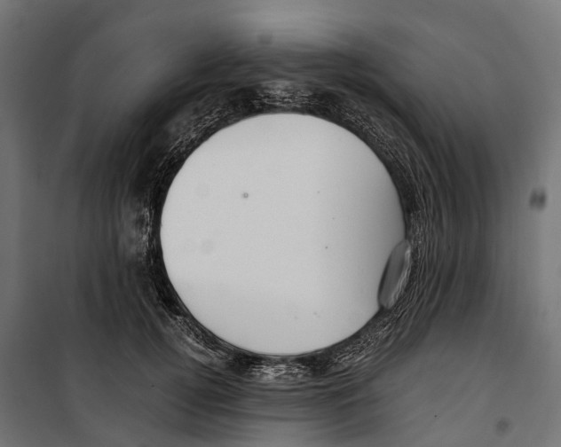 X0000099990752200806201449