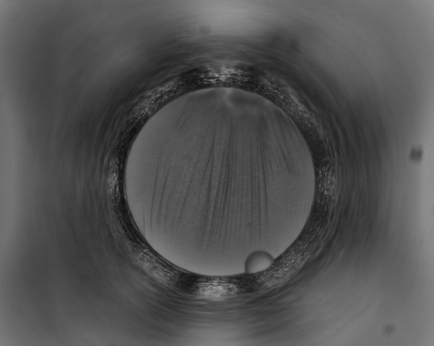 X0000099990754200806201449