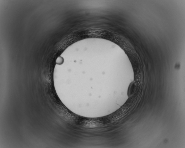 X0000099990755200806201449