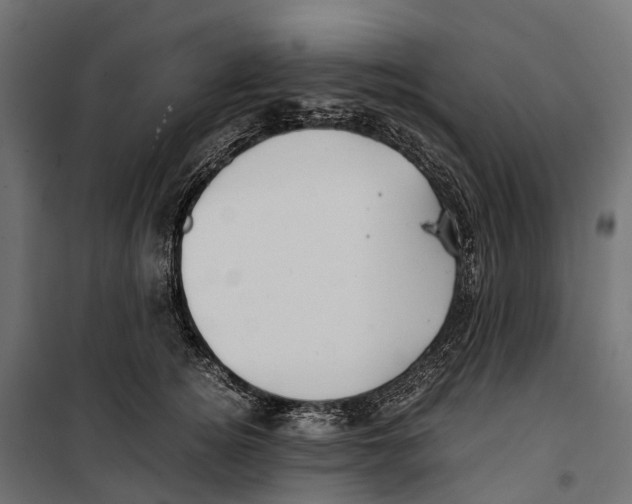 X0000099990756200806201449