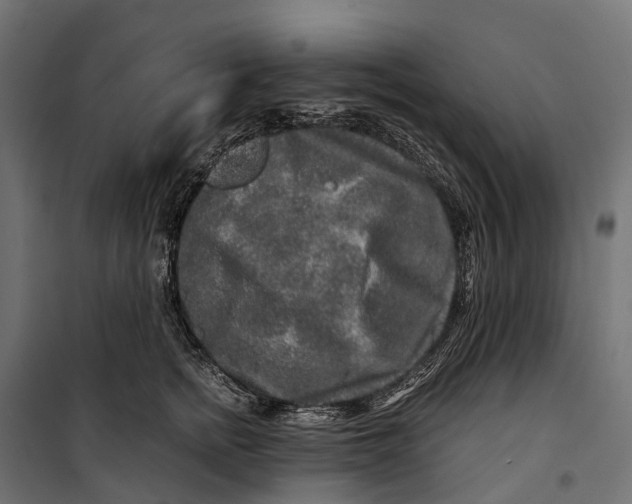 X0000099990758200806201449