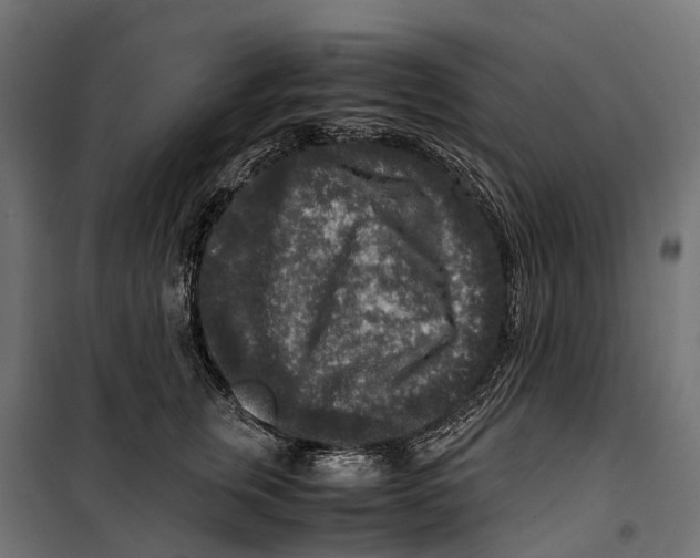 X0000099990759200806201449