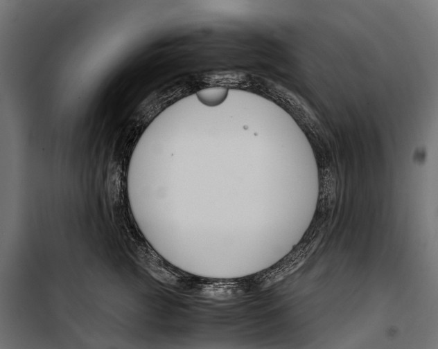 X0000099990761200806201449