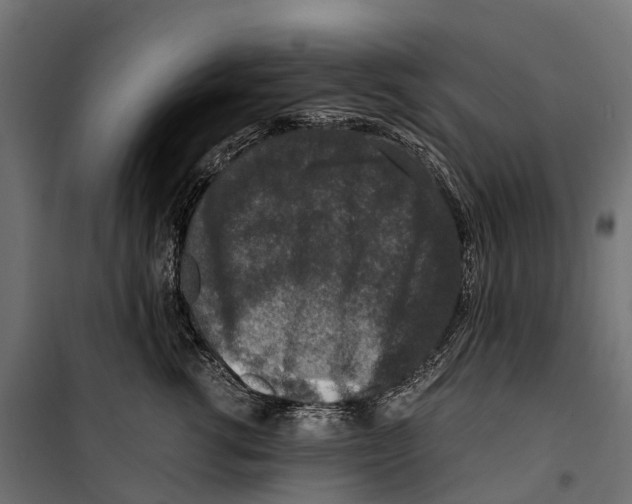 X0000099990762200806201449