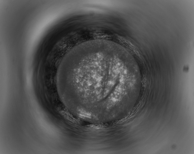 X0000099990763200806201449