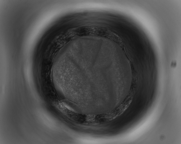 X0000099990766200806201449