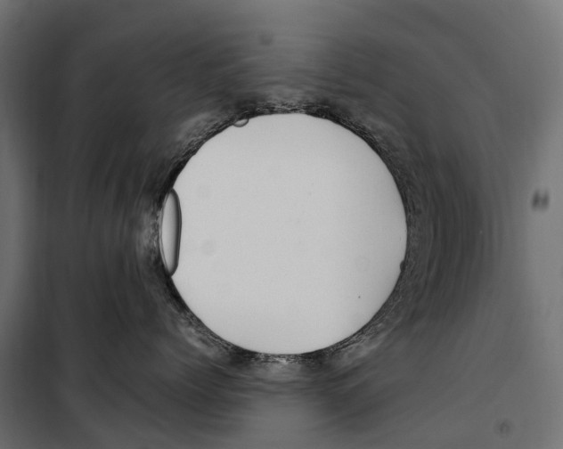 X0000099990768200806201449