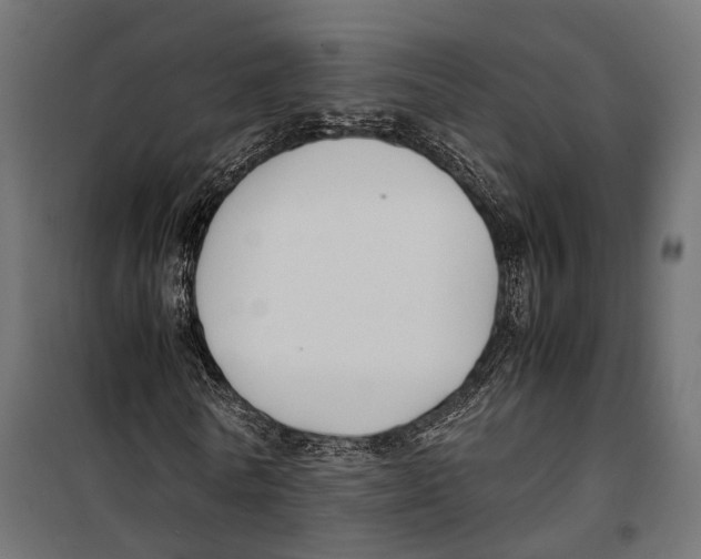 X0000099990770200806201448