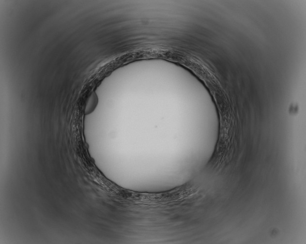 X0000099990773200806201448