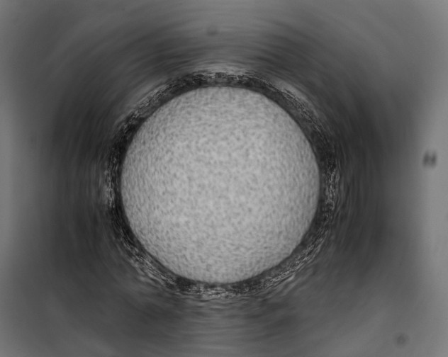 X0000099990774200806201448