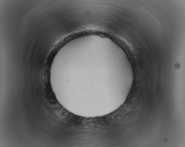 X0000099990776200806201448