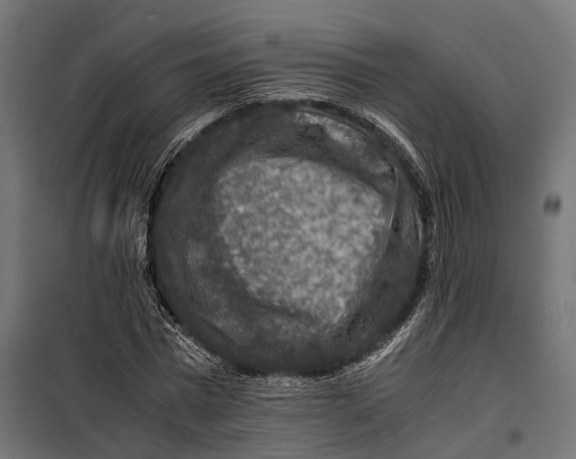 X0000099990777200806201448