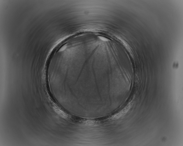 X0000099990779200806201448