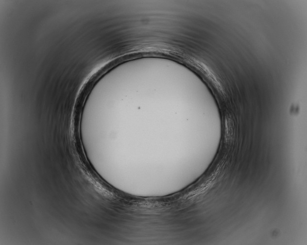 X0000099990780200806201448