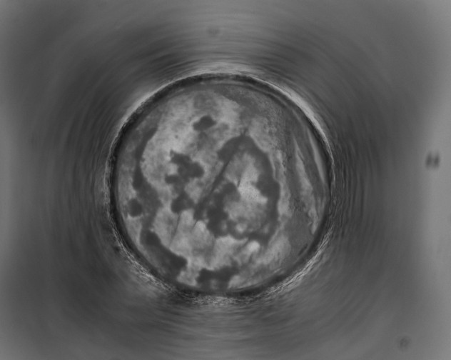 X0000099990783200806201448