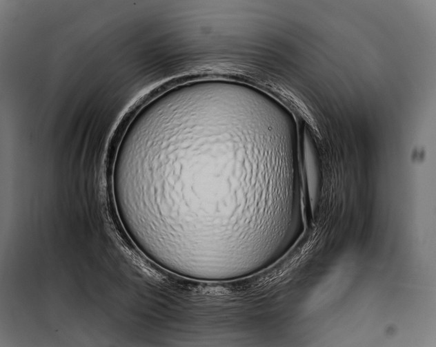 X0000099990784200806201448