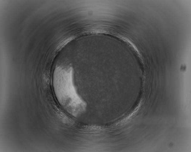 X0000099990785200806201448