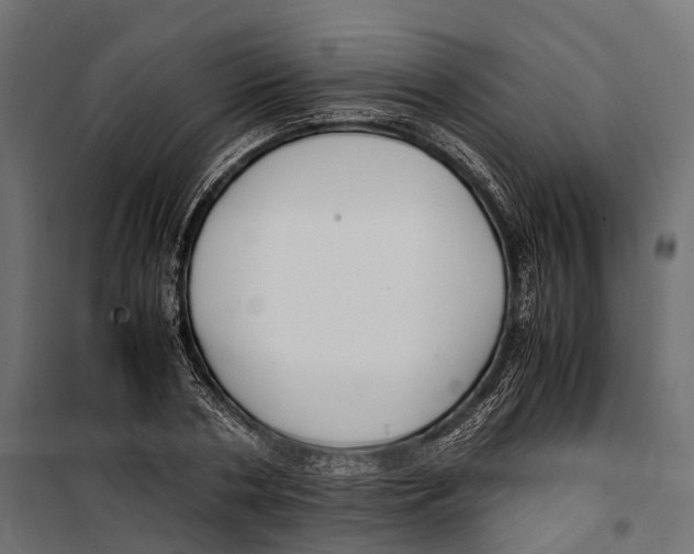 X0000099990786200806201448