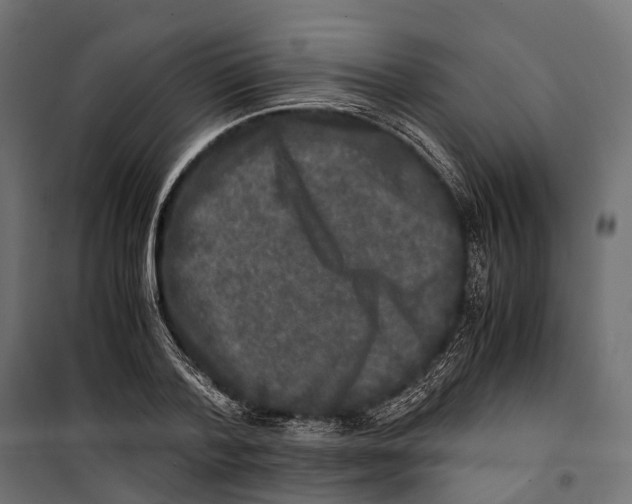 X0000099990788200806201448