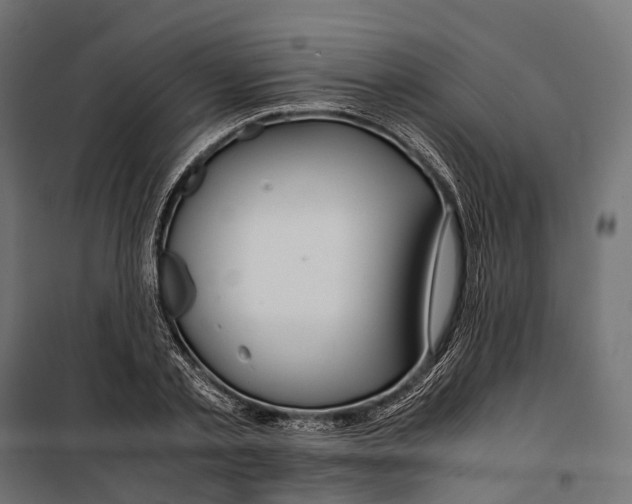 X0000099990789200806201448