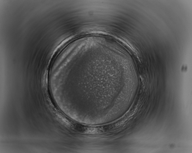 X0000099990790200806201448