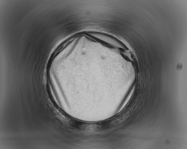 X0000099990791200806201448