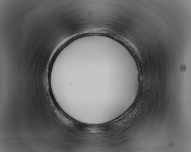 X0000099990792200806201448