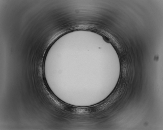 X0000099990794200806201448