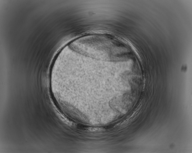 X0000099990795200806201448