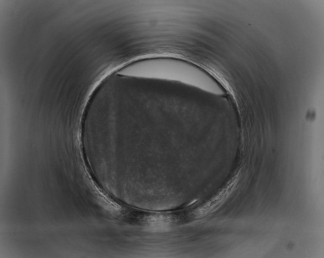 X0000099990797200806201448