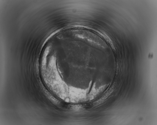 X0000099990798200806201448