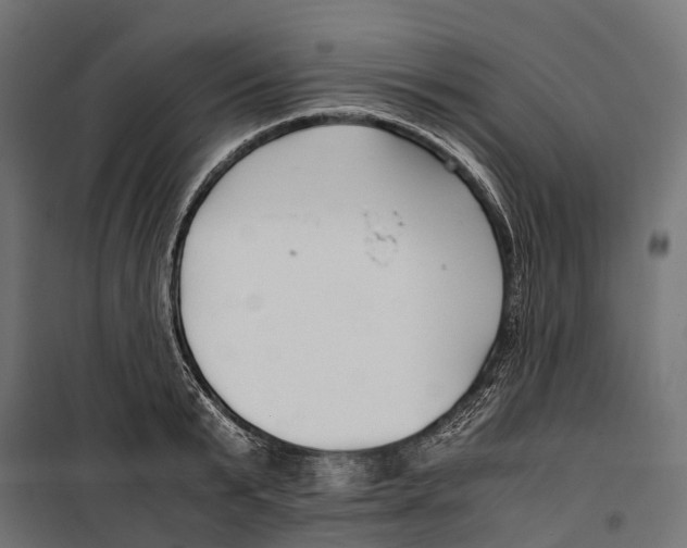 X0000099990799200806201448