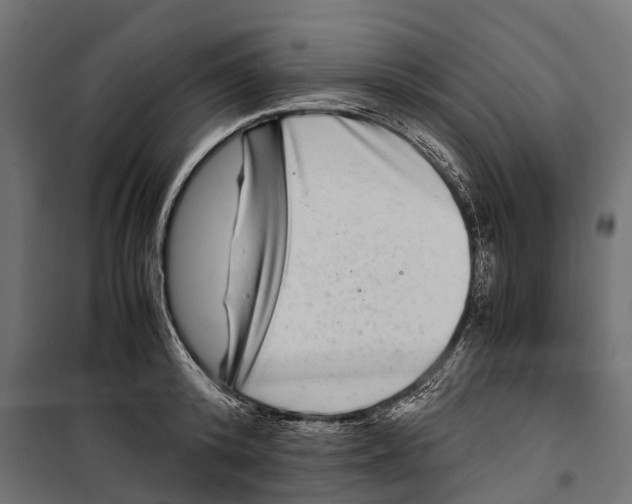 X0000099990800200806201448