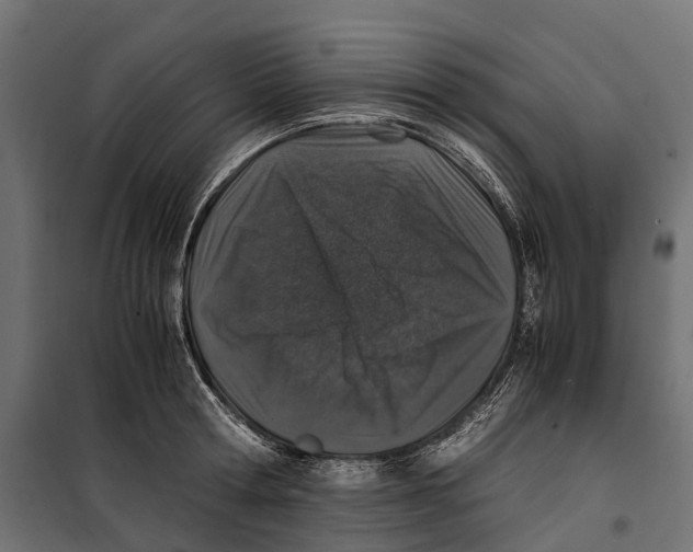 X0000099990802200806201448