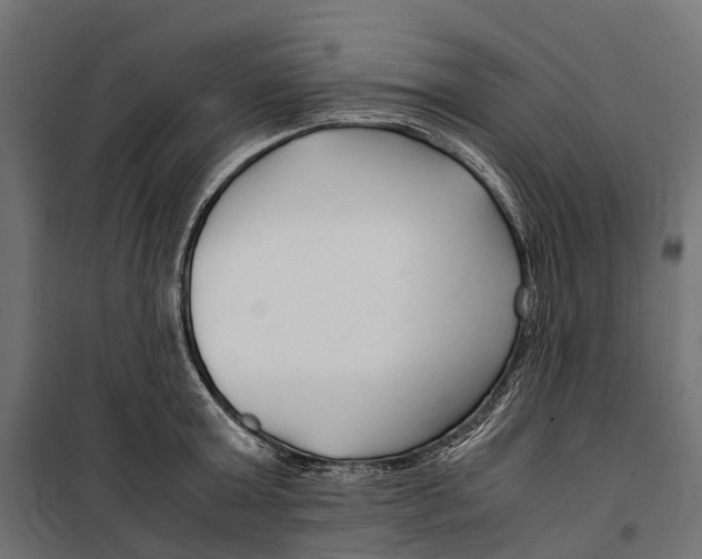 X0000099990803200806201448