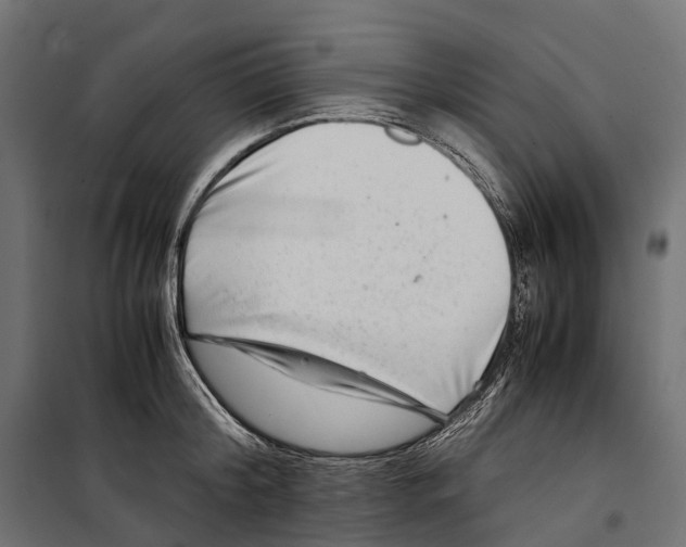 X0000099990804200806201448