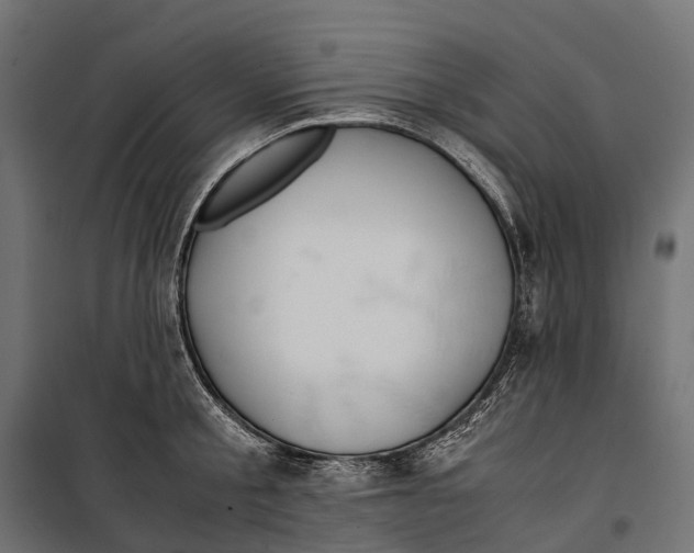 X0000099990805200806201448