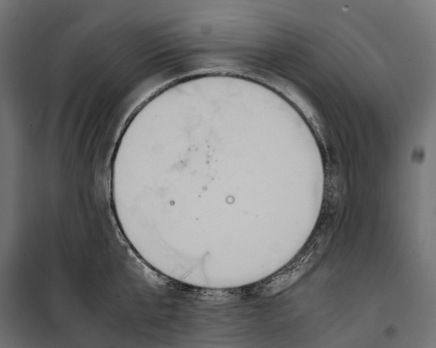 X0000099990807200806201448